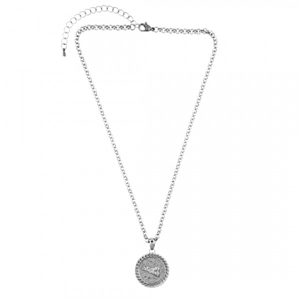 COLLANA IN METALLO ANALLERGICO CON 1 CHARMS - CL301B